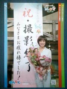 純と愛（チラシ2013年3月号） NHK沖縄放送局発行 夏菜 風間俊介【3部】