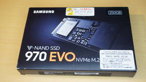 【NVMe・250GB】Samsung 970 EVO