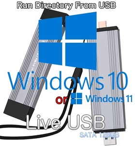 Windows10 or 11 Live USBドライブ [M.2 SATA SSD 128GBモデル]