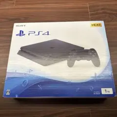 PS4 2100BB01 本体