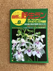 自然と野生ラン 1990年8月号　ウチョウラン 錦蘭 富貴蘭 ※ 園芸JAPAN