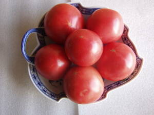 アロイトマト　種　20粒　由来明記　素性明記　固定種　トマト種　野菜種　アロイトマト純正種　無農薬栽培 　栽培資料１点付き　