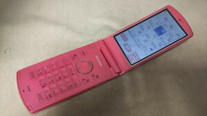 D4890 docomo FOMA N-01F NECカシオモバイル ガラケー 折畳式 簡易動作確認＆簡易清掃＆初期化OK 判定○ 現状品 送料無料　