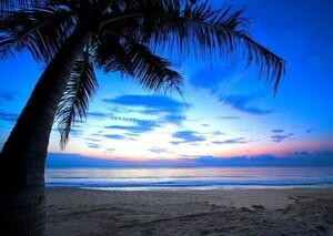 夜明けのビーチ カリブ海の朝陽 海 絵画風 壁紙ポスター 特大A1版 830×585mm（はがせるシール式）029A1