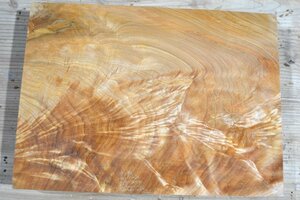 長33*幅24*厚1.5　トチ56の木材木工材,一枚板DIY銘木花台　　プレート栃