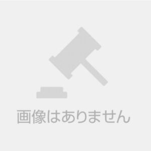 【現地購入】ミックファイア　単勝　東京大賞典　数量9あり　何枚でも送料84円