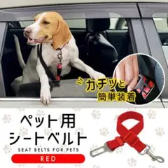 ワンコ ネコちゃん 車 シートベルト 安全 装着簡単 ペット リード レッド