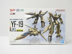 未組立品 1/100 HG YF-19 マクロスプラス 社外デカール付 プラモデル ◇TY14415