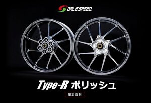 ★業販価格は問合せ下さい★新品ゲイルスピードアルミホイール前後セットT-RポリッシュCB1300SF/SP・SB/SP（18-23）350/600-17　28312903