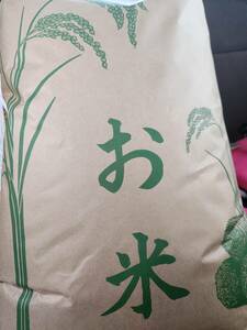 　【送料無料】【精米応相談】コシヒカリ(令和5年福島県産)玄米5kg