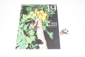 週刊　日本の天然記念物１９号　ダイトウオオコウモリ　フィギュア　冊子　海洋堂