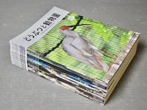 まとめ売り!!【動物雑誌】季刊｜どうぶつと動物園 2018～2023年〈18冊セット/抜けあり〉◆東京動物園協会