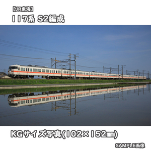 ◎KG写真【JR東海】117系電車 S2編成 ■東海色 □撮影:東海道本線 2012/6/4［KG0616］