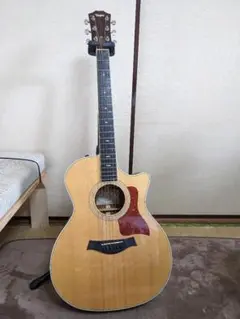 Taylor414CE  専用ケース付