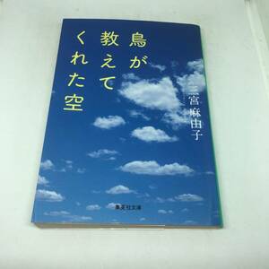 鳥が教えてくれた空 (集英社文庫) 文庫 2004/8/20 三宮 麻由子 (著)