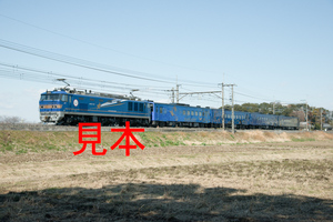 鉄道写真データ（JPEG）、00264556、EF510-515＋キハ141系（団臨、みちのくSLギャラクシー号）、JR東北本線、蓮田〜東大宮、2014.03.08