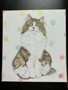 【手描きイラスト】ノルウェージャンフォレストキャット　猫　色鉛筆画　色紙