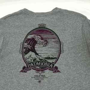 Patagonia usa製 Hawaii haleiwa パタゴニア アメリカ製 ハワイ ハレイワ オーガニックコットン Tシャツ グレー M 北斎 波 ウェーブ ロゴ