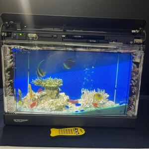 魚八景ジュニア　NEC SJ1010-02 カード4枚付き　リモコン付き　通電　動作確認済み　バーチャル水槽