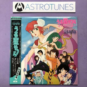 傷なし美盤 うる星やつら Urusei Yatsura 1983年 2枚組LPレコード ドラマ編 オンリー・ユー 完全収録版 帯付 高橋留美子 小林泉美