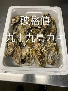 【訳あり】九十九島かき　14キロ（滅菌処理済み）　真牡蠣　殻付き牡蠣（8〜11個/kg）