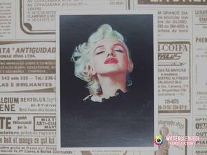 ★☆★21003-ExHS★☆★[MARILYN MONROE-STICKER] マリリン・モンロー