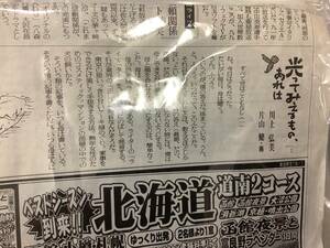 新聞小説【光ってみえるもの・あれは−全245話245枚】著者：片山健、川上弘美　夕刊読売新聞2001年〜2002年小説ページのみ　Z