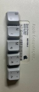 Apple Keyboard M0110AJ より取り外したキートップ　5個セットです。　#B