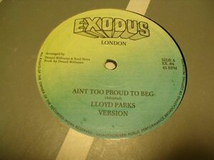 ●Reggae Lovers Rock 12inch●LLOYD PARKS/ AIN