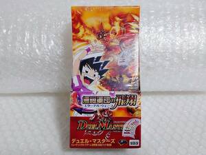 未開封+廃盤品　TAKARA　DUEL MASTERS　DM-11　聖拳編　無限軍団の飛翔　エターナル・ウェーブ　拡張パック　第2弾　BOX　タカラ