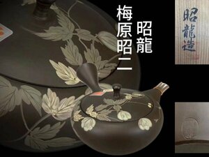 J0274Z5 常滑焼 梅原昭二「昭龍」作 横手急須 葉紋 茶道具 煎茶道具 茶注 茶器 共箱