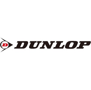 業販 スタッドレスタイヤ 4本 DSX 285/35RF20 デジタイヤ タイヤのみ ランフラット ダンロップ DUNLOP 新品