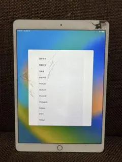 ジャンクIpad PRO 10.5 256GB WI-FI +SIM FREE