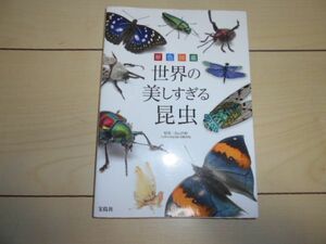 原色図鑑 世界の美しすぎる昆虫 丸山宗利