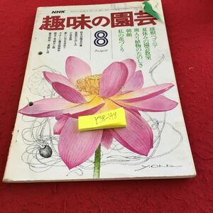 Y38-148 NHK 趣味の園芸 8月 球根ベゴニア 夏休みの園芸教室 斑入り植物のたのしさ 朝顔 私の花づくり 園芸作業 など 昭和51年発行 