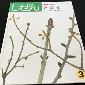 M5e-250 キンダーブック3 しぜん きのめ (指導)小林義雄 (写真)斎藤光一 冬芽のいろいろ/葉芽と混芽 その他 1989年3月1日 発行 