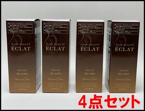 4点セット 新品 ヘアボーテ エクラボタニカル エアカラーフォーム ダークブラウン ボタニカル 白髪染め 80g ECLAT