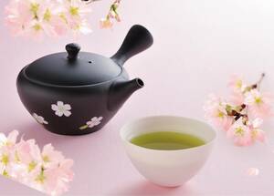 常滑焼！ 梅原廣隆（玉光） ☆黒鉄鉢桜急須☆ Ｙ364 新品 茶器 お茶 煎茶 深蒸し ほうじ茶 ポット ギフト