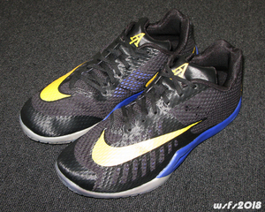 【USED】NIKE HYPERLIVE PE (ANDRE IGUODALA) US10.5 [22/06]ナイキハイパーライブＰＥアンドレイグダーラ