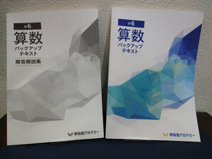 早稲アカ 早稲田アカデミー バックアップテキスト 算数 2023年 最新