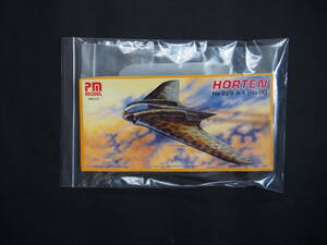 ☆ＰMモデル 1/72 ホルテン　Ho-229　箱なし