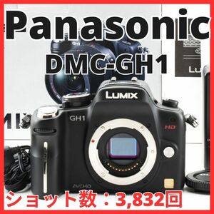 C04/5616F / パナソニック Panasonic DMC-GH1 ボディ 【ショット数 3,822回】