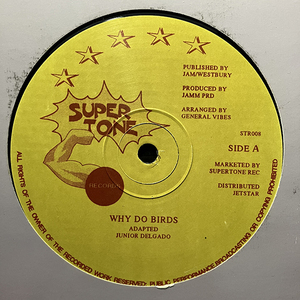 Junior Delgado / Why Do Birds [Super Tone Records STR008] CLOSE TO YOU カーペンターズ 