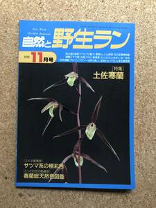 自然と野生ラン 1995年11月号　※ 寒蘭 春蘭 ミヤマウズラ セッコク イワヒバ ※ 園芸JAPAN