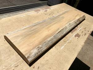 送料無料！【S831H】辛夷 873×222×35㎜ コブシ 板材 乾燥材 木工 DIY 材木 天然木 無垢材《銘木すずめや》