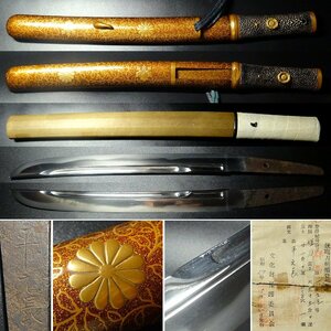 名品 刀剣 【平元長】銘 彫細工 九寸五分 短刀 湾れ刃文 蒔絵菊御紋桐の葉唐草図鞘鮫皮柄拵え 赤銅魚子地金色絵桐葉図目貫 鎧通 4