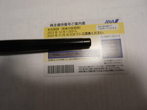 ☆ANA株主優待券　全日空　優待券　２４年１１月３０日まで有効　送料無料