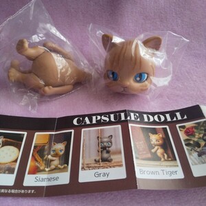 CAPSULE DOLL カプセルドール 猫 ネコ ねこ フィギュア カスタムドール マスコット Brown Tiger ガチャ 人形 ドールハウス インテリア