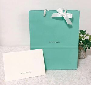 ティファニー「TIFFANY&Co.」ショッパー 小物箱サイズ旧型 (2995) 正規品 付属品 ショップ袋 ブランド紙袋 封筒付き 折らずに配送