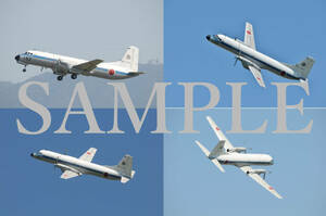 D【航空機写真】Ｌ版４枚　航空自衛隊　YS-11　美保基地